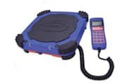 A/C Charging Scales
