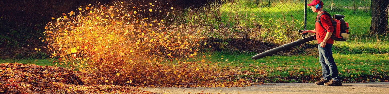 Leaf Blowers & Yard Vacuums