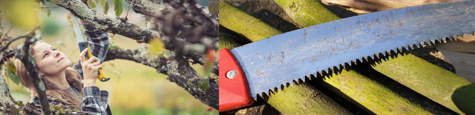 Pruning Saws